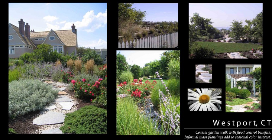 Coastal garden with ornamental grasses and perennials
